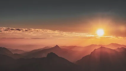 Optimal Weight Loss & Wellness logo